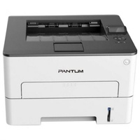Pantum P3010D